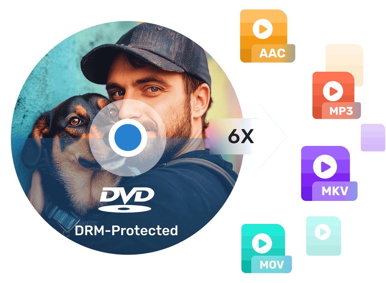 DVD 開膛手