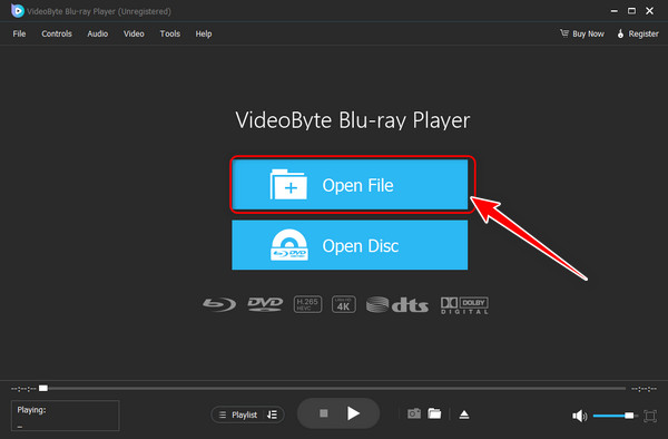 Videobyte Abrir ISO