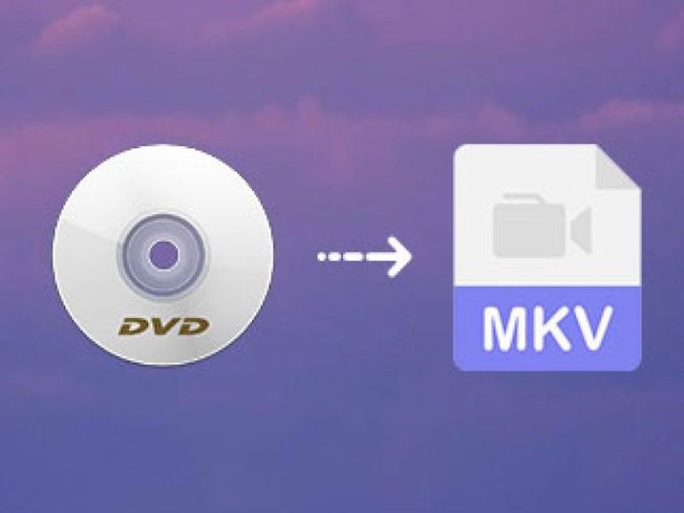 DVD rippen naar MKV