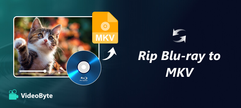 Copia Blu Ray in MKV
