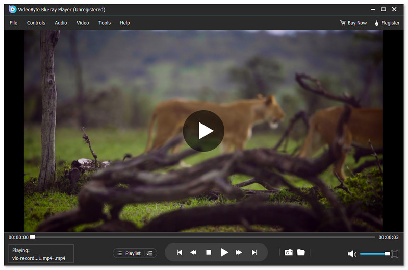 Interfaccia del lettore Blu-ray Videobyte
